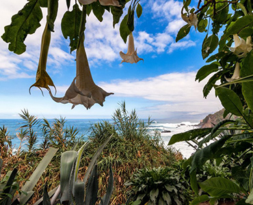 Tenerife / Various Locations